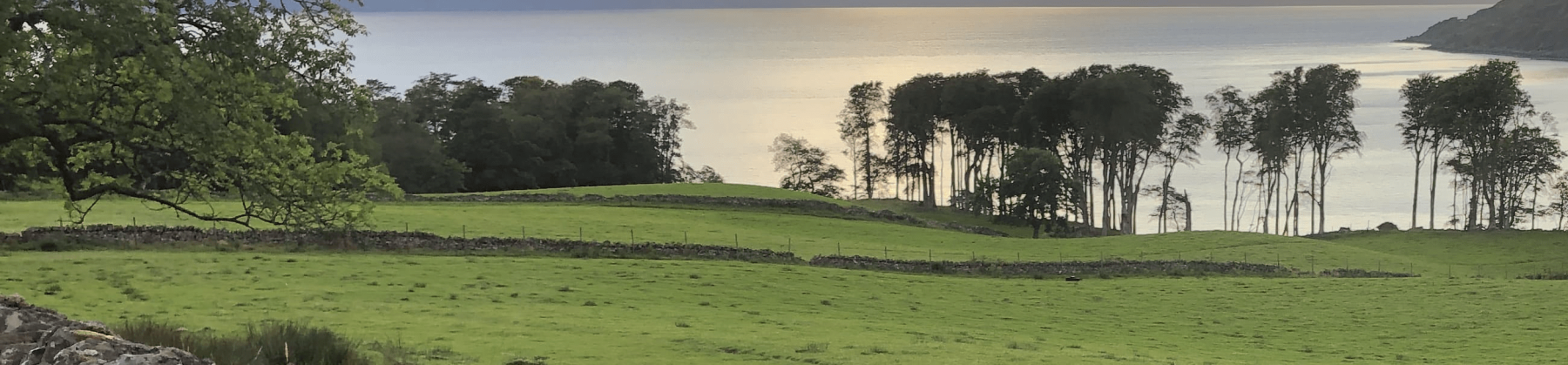 Wall and grassy overlook of the water at sunset